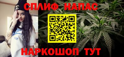 гидра Аргун
