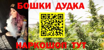 гидра Аргун