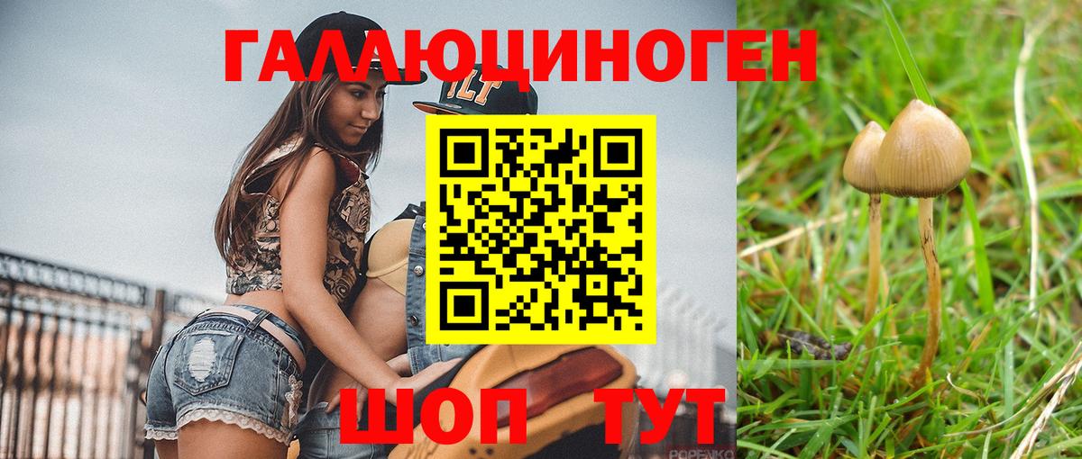 Галлюциногенные грибы мухоморы  Галлюциногенные грибы мицелий  Видное  Вход с VPN 